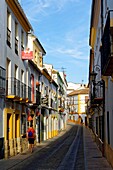 Spain, Andalusia, Malaga Province, Ronda, white villages road (Ruta de los Pueblos Blancos)