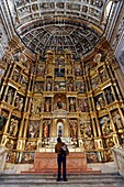 Spanien, Andalusien, Granada, Kloster San Geronimo, die Kirche, Altarbild (Retabel)