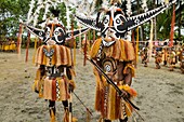 Papua New Guinea, Gulf Province, Toare Village, traditional festival called sing-sing, Hivi Hokore Mask and Pepe Cultural group