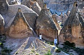 Turkey, Cappadocia, Pasabagi, Devrent the valley of Imaginations