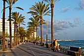 Spain, Andalusia, Costa del Sol, Malaga Province, Marbella, seafront along the beach