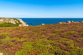 Frankreich, Finistère (29), Cornouaille, Cléden-Cap-Sizun, Pointe du Van, Diese felsige Landzunge westlich von Cap Sizun schließt den Norden der Baie des Trépassés ab, die im Süden von der Pointe du Raz begrenzt wird