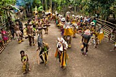 Papua New Guinea, Gulf Province, Moveave Village, traditional festival called sing-sing