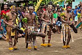 Papua New Guinea, Gulf Province, Moveave Village, traditional festival called sing-sing