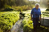 France, Essonne, Mereville, Villa Paul watercress beds, Christian Barberot, cressman