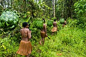 Indonesia, West Papua, Mabul, Korowai expedition, making of palm baskets and river fishing