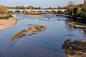 France, Indre et Loire, Loire valley listed as World Heritage by UNESCO, Tours, the Loire in Tours, the Loire and its sandbanks in Tours with a woman on the beach and the Wilson bridge in the background