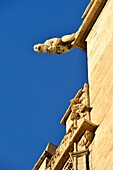 Spain, Valencia, historical center, the Silk Exchange, La Llotja (Lonja de la Seda), in Gothic style, listed as World Heritage by UNESCO