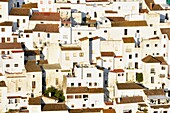 Spanien, Andalusien, Costa del Sol, Provinz Malaga, Casares, weißes Dorf im Hinterland (Pueblos blancos)