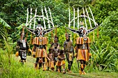 Papua New Guinea, Gulf Province, Toare Village, traditional festival called sing-sing, Hivi Hokore Mask and Pepe Cultural group