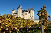 France, Maine Et Loire, Loire-Anjou-Touraine Reginal Natural Park, Saumur, Saumur Castle IMH