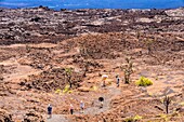 Ecuador, Galapagos-Archipel, Weltkulturerbe der UNESCO, Insel Isabela (Albemarie), Vulkan Chico