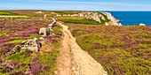 Frankreich, Finistère (29), Cornouaille, Cléden-Cap-Sizun, Pointe du Van, Diese felsige Landzunge westlich von Cap Sizun schließt den Norden der Baie des Trépassés ab, deren Süden durch die Pointe du Raz abgeschlossen wird