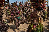 Papua New Guinea, National Capitale district, Port Moresby, Jack Pidik Park, Independence Festival held every year mid-September, dancers from Simbu province