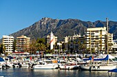 Spain, Andalusia, Costa del Sol, Malaga Province, Marbella, Marina