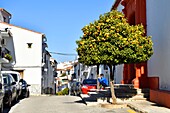 Spanien, Andalusien, Costa del Sol, Provinz Malaga, Weiße Dörfer (Pueblos Blancos), Das Dorf Gaucin auf dem Hügel