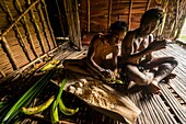 Indonesia, West Papua, Mabul, Korowai expedition, meal preparation