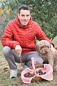 France, Correze, Causses, search for black truffles (cavage) of the Tuber Melanosporum variety in a truffle field with Stephane Foissac (truffle grower) and his truffle dog