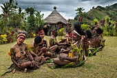 Papua New Guinea, Simbu Province, Kagaï village, courtship ceremony called Tunim Head (Turning head)