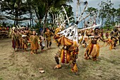 Papua New Guinea, Gulf Province, Toare Village, traditional festival called sing-sing, Pipi Mask and Ehore Cultural group