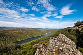 Spain, Extremadura, Monfragüe national park, embalse de Torrejon-Tajo