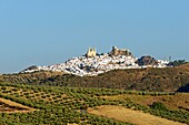 Spain, Andalucia, Cadiz province, white village of Olvera, the Church of Our Lady of the Incarnation and the Arabic fortress