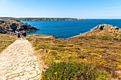 Frankreich, Finistère (29), Cornouaille, Cléden-Cap-Sizun, Pointe du Van, Diese felsige Landzunge westlich von Cap Sizun schließt den Norden der Baie des Trépassés ab, deren Süden durch die Pointe du Raz abgeschlossen wird