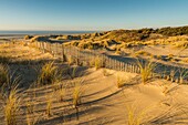 Frankreich, Somme, Baie de Somme, Fort-Mahon, die Dünen von Marquenterre, zwischen der Baie d'Authie und der Baie de Somme