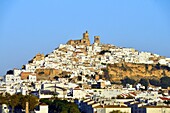 Spain, Andalusia, Cadiz Province, Arcos de la Frontera, White Villages route (Ruta de los Pueblos Blancos), the village on a rocky cliff, San Pedro church