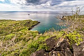 Ecuador, Galapagos-Archipel, von der UNESCO zum Weltkulturerbe erklärt, Insel San Cristóbal, Statue von Charles DARWIN mit Blick auf den Strand von Muelle Tijeretas in der Darwin-Bucht