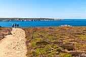 Frankreich, Finistère (29), Cornouaille, Cléden-Cap-Sizun, Pointe du Van, Diese felsige Landzunge westlich von Cap Sizun schließt den Norden der Baie des Trépassés ab, deren Süden durch die Pointe du Raz abgeschlossen wird