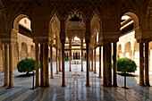 Spain, Andalusia, Granada, the Alhambra Palace, listed as World Heritage by UNESCO, built between 13th and 14th century by the Nasrides dynasty, islamic architecture, the Nasrides Palace, Patio de Los Leones (Court of the Lions)