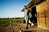 France, Essonne, Saclay plateau, Bievres, Charles Monville, organic poultry farmer