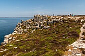 France, Finistère (29), Cornouaille, Crozon Peninsula, Camaret-sur-Mer, Pen-Hir Point in the Iroise Sea