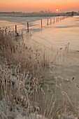 France, Somme, Baie de Somme, Saint-Valery-sur-Somme, frozen enclosures a little winter morning