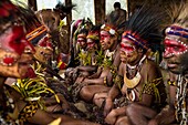 Papua New Guinea, Simbu Province, Kagaï village, courtship ceremony called Tunim Head (Turning head)