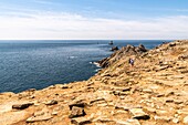 Frankreich, Finistère (29), Cornouaille, Plogoff, Pointe du Raz, felsige Landzunge, die den am weitesten fortgeschrittenen Teil westlich von Kap Sizun bildet, mit Blick auf das Meer von Iroise