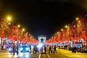 France, Paris, Avenue des Champs Elysees during the Christmas lights