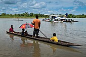 Papua-Neuguinea, Provinz East Sepik, Sepik River Region, Luke Hammer von der Samaritan Aviation Missionary Company und Dr. Preston Karue liefern Polio-Impfstoffe per Wasserflugzeug in der Sepik River Area während der Ausrottungskampagne des Ausbruchs im Jahr 2019