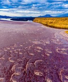 Kenia, Magadi-See, Rift Valley, Soda (Luftaufnahme)