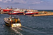 Frankreich, Finistere (29), Cornouaille, Le Guilvinec, erster Fischereihafen Frankreichs, die Rückkehr der Trawler in den Hafen, um den Fisch zu entladen und zu versteigern