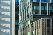 France, Paris, Gare de Lyon (Lyon train station) district on the riverbanks of the Seine river, facade of apartment and office buildings in rue de Bercy (Bercy street)