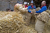 Switzerland, Valais, Evolene valley, Evolene, Carnaval with the Empailles and the Peluches who come from Pagan rites and go around the villages to frighten the bad spirits of winter