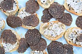 France, Correze, Causses, slices of black truffles (Tuber Melanosporum) with bread and truffle butter