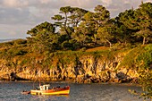 Frankreich,Finistere (29),Cornouaille,Douarnenez,Insel Tristan,der Hafen von Tréboul und die Bucht von Douarnenez