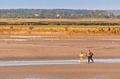 France, Somme, Baie de Somme, Saint-Valery-sur-Somme, Two hunters leave to spend the night in Baie de Somme