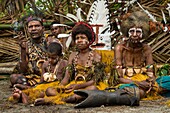 Papua New Guinea, Gulf Province, Toare Village, traditional festival called sing-sing, Kevea Muka Mask from Pukari village