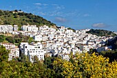 Spanien,Andalusien,Costa del Sol,Provinz Malaga,Casares,weißes Dorf im Hinterland (Pueblos blancos)