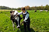 Frankreich,Seine et Marne,Saint Thibault des Vignes,Brigitte Brodier-Bisson,Bauernhof Saint Thibault,Zucht,Herstellung und Direktverkauf von Milchprodukten