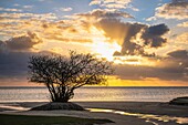 Mauritius,Bezirk Riviere Noire,Strand Prairie